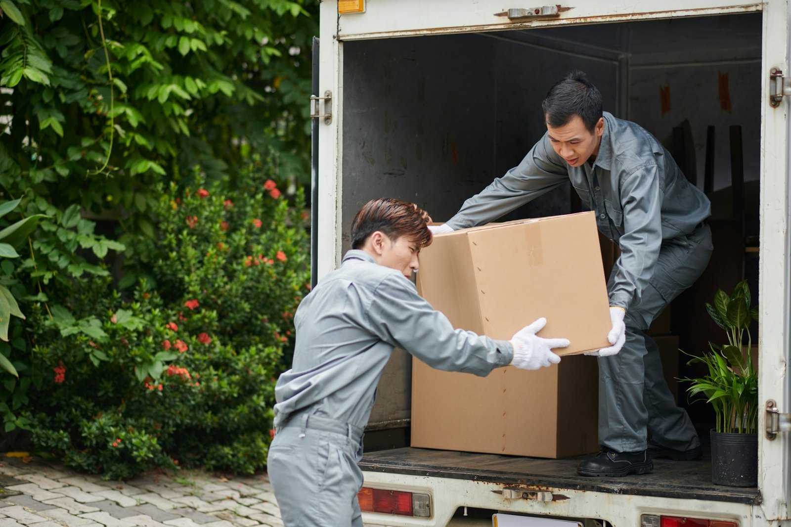 Trusted Movers Singapore